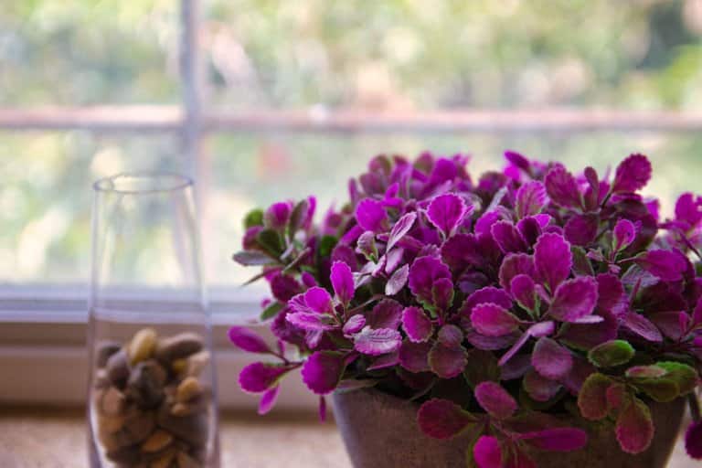 קליניקה להשכרה בירושלים עם סטייל